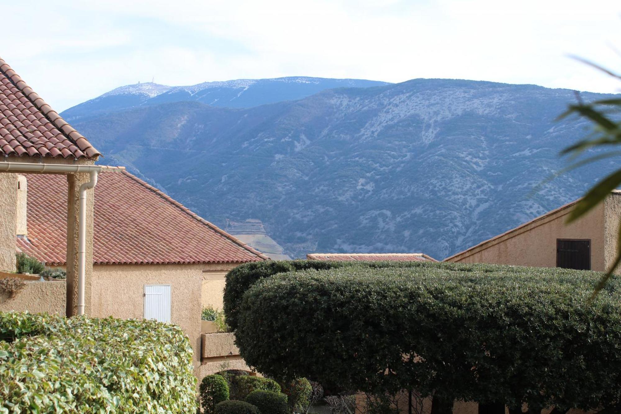 Апартаменты Domaine Du Pas Du Ventoux Hameau De La Garrigue Mollans-sur-Ouveze Экстерьер фото